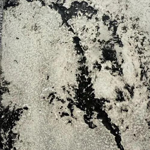 Appaloosa