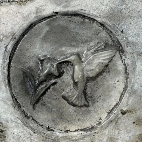 Hummingbird