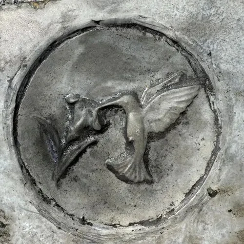 Hummingbird