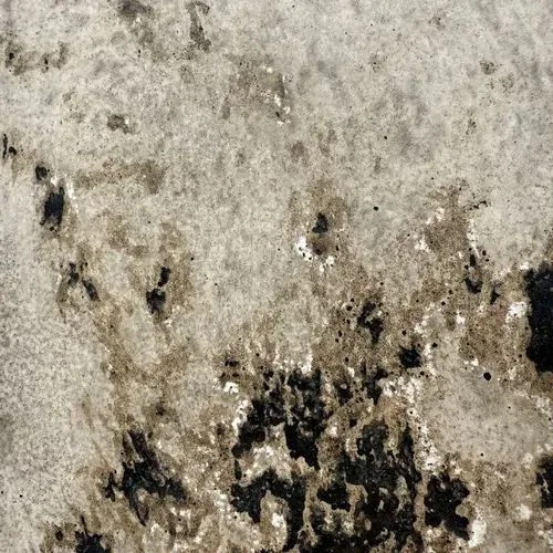 Ozark Tan