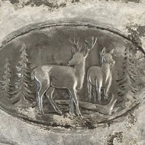 Deer